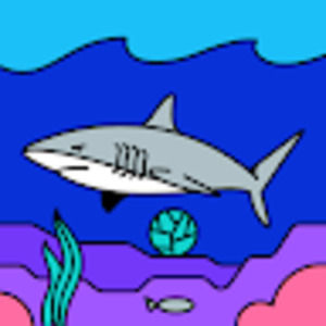 Meet your Posher, Kofi